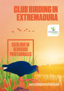 Club Birding in Extremadura